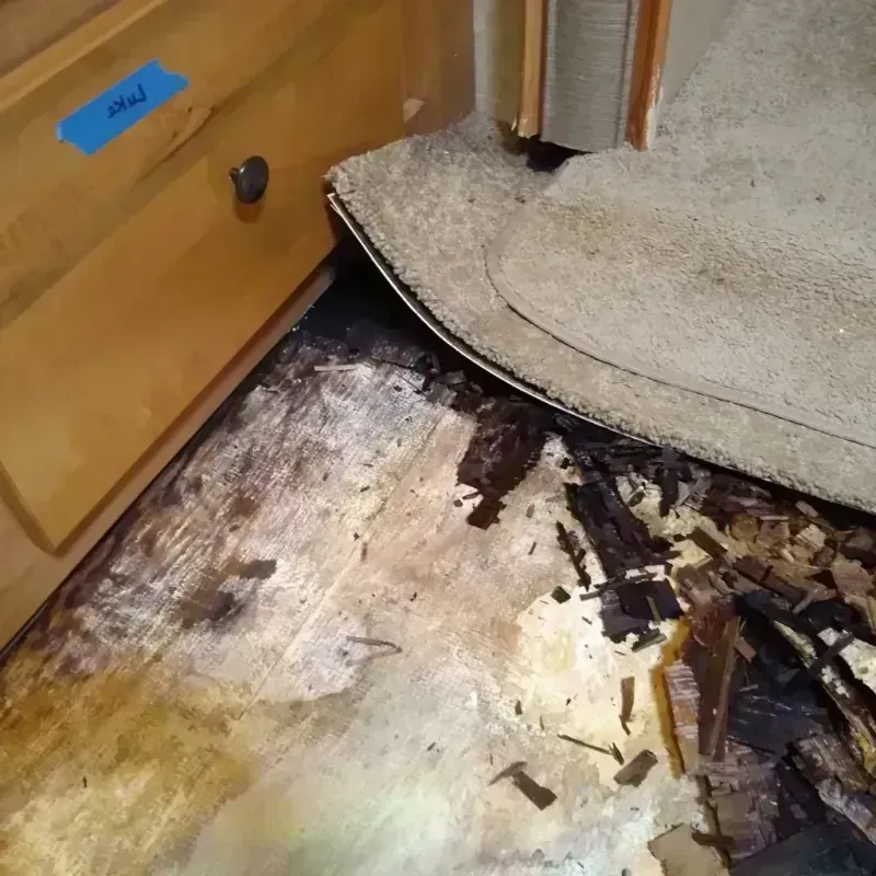 Wood Floor Water Damage in Fresno, TX